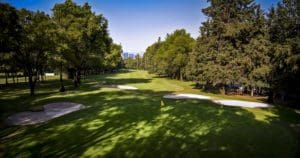 wgc mexico championship tips