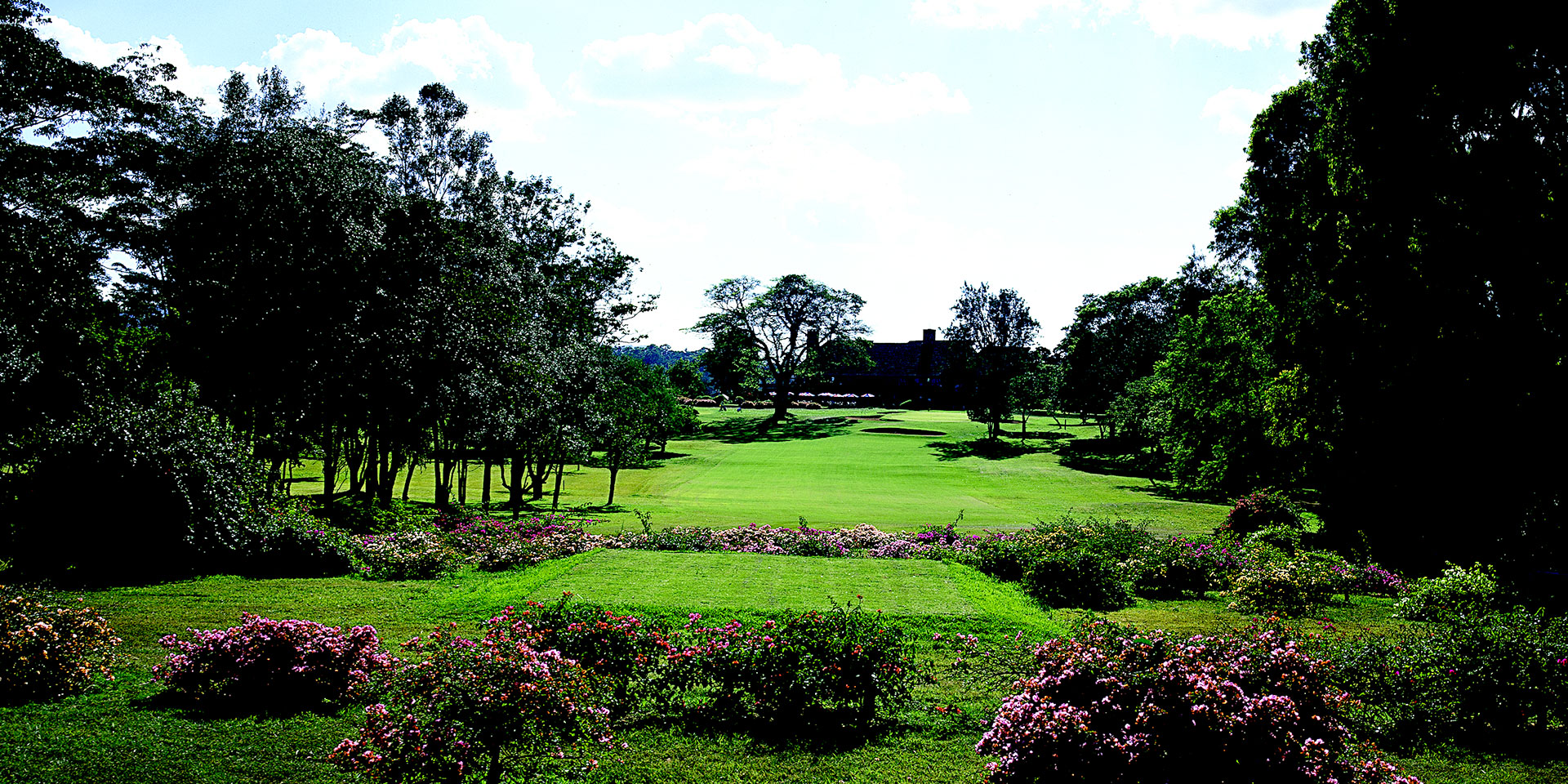 Magical Kenya Open Tips 2021 Golf Betting System