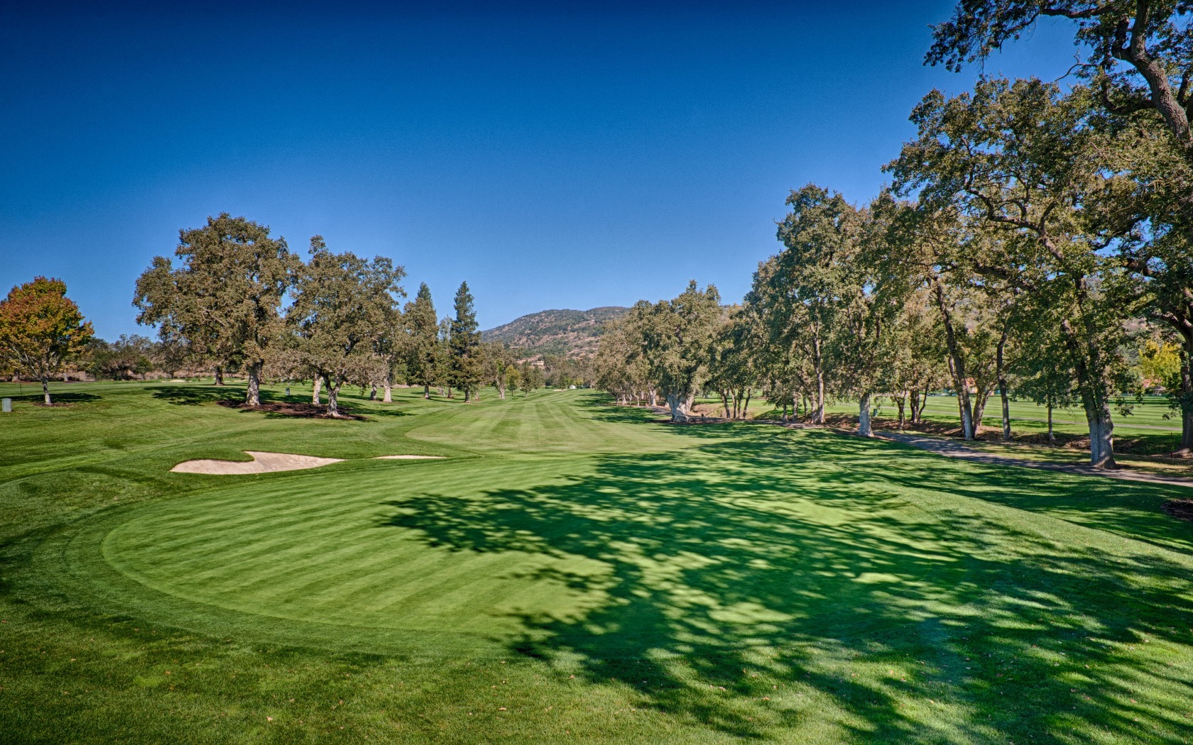 Championship Tips 2023 Golf Betting System