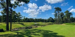 houston open tips
