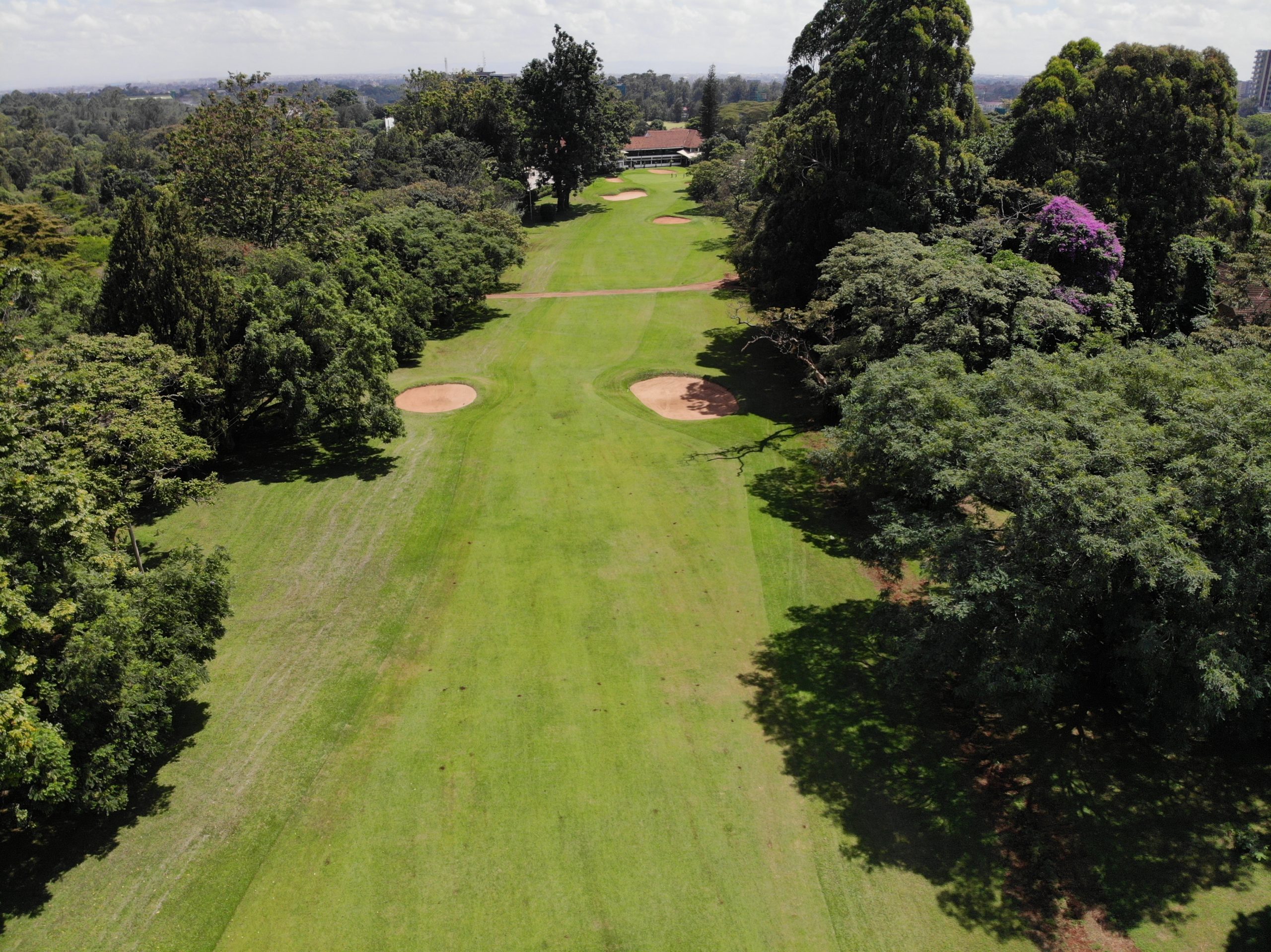 Magical Kenya Open Tips 2023 – Golf Betting System
