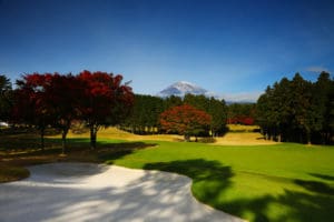 isps championship tips