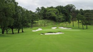 Baycurrent Classic Tips
